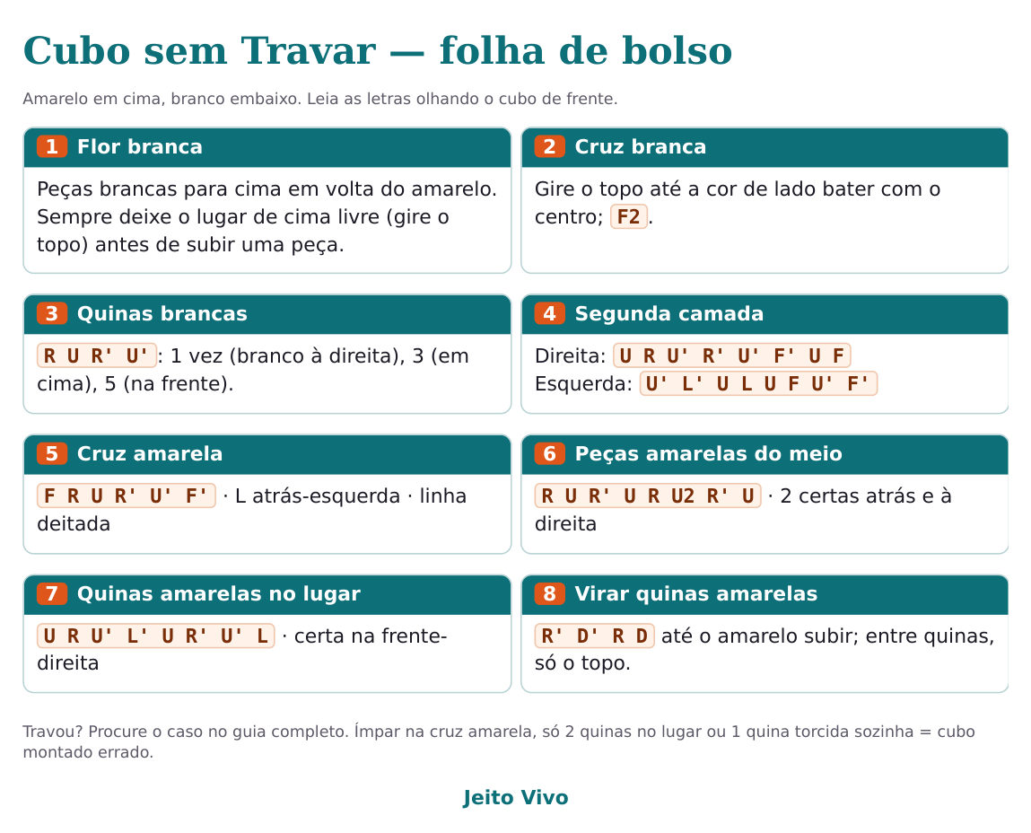 Folha de bolso com os 8 passos e o movimento de cada um, em uma página.